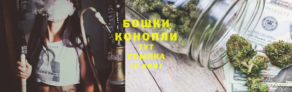spice Пересвет