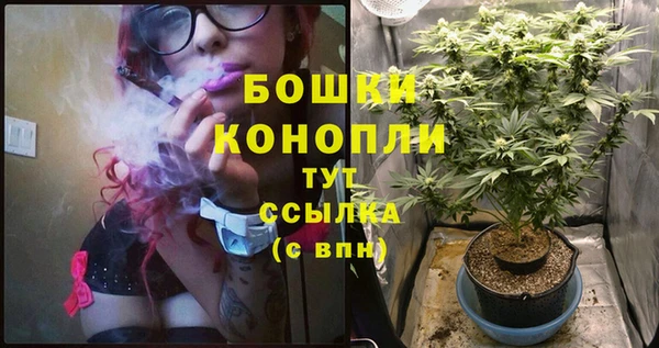 spice Пересвет