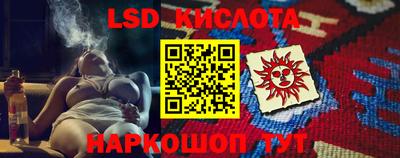 шишки Жуковский
