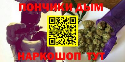 шишки Жуковский