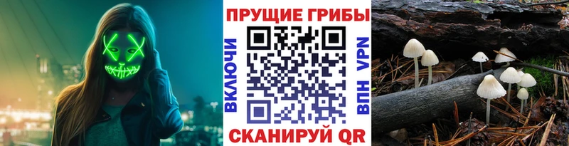 Псилоцибиновые грибы Cubensis  Отрадный 